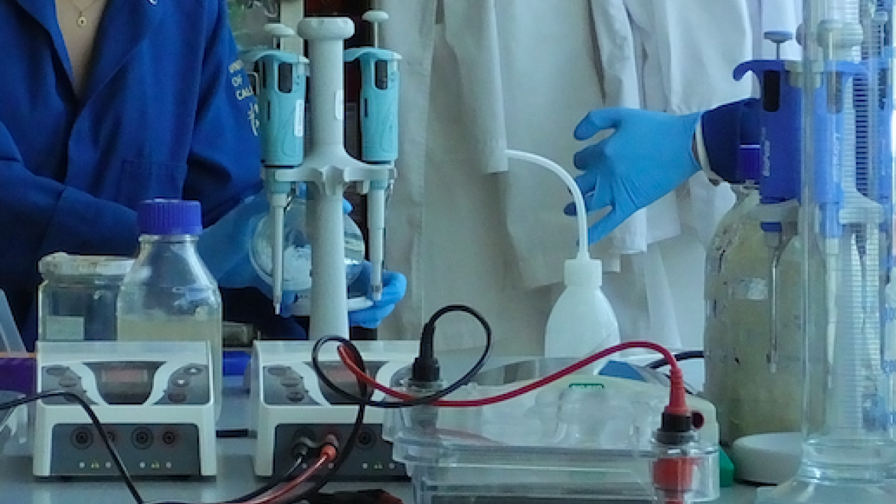 Laboratorio UC Davis
