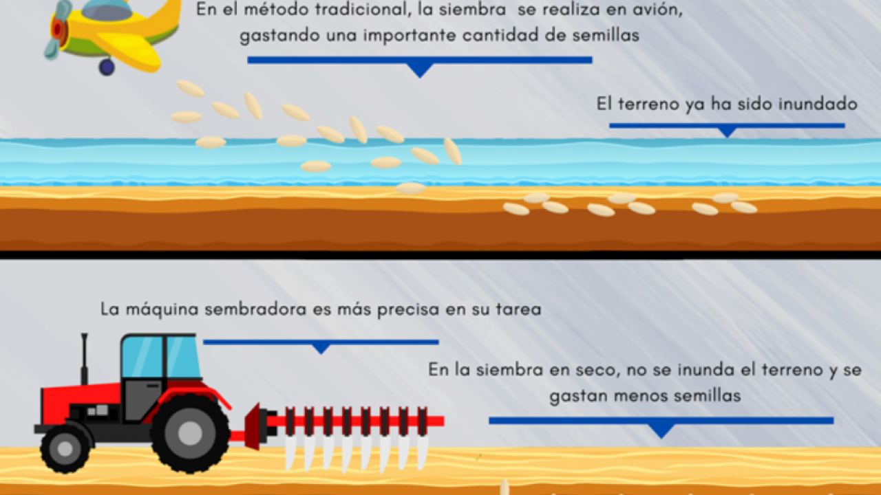 Circular Economy experiences