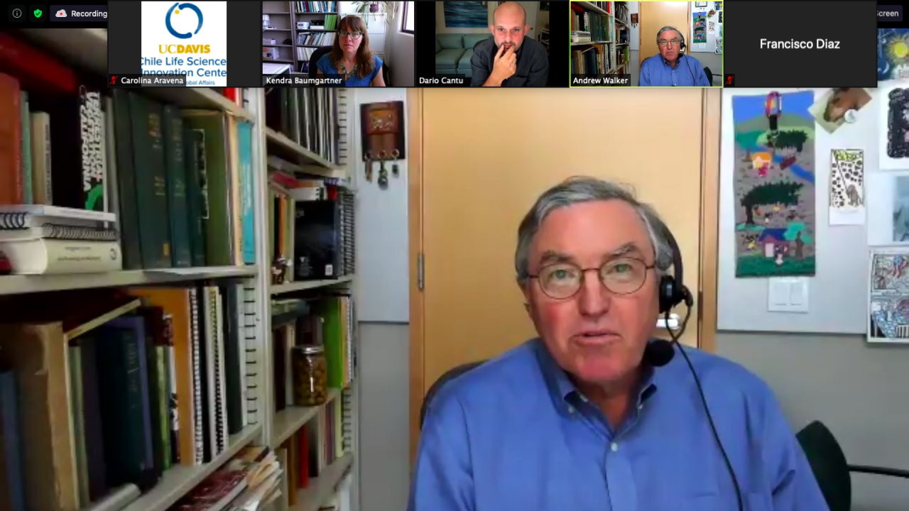 Webinar