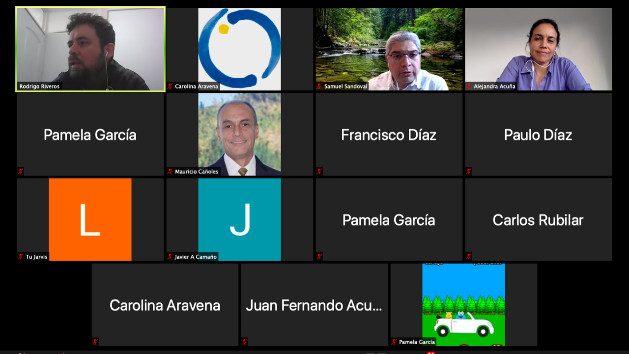 Webinar
