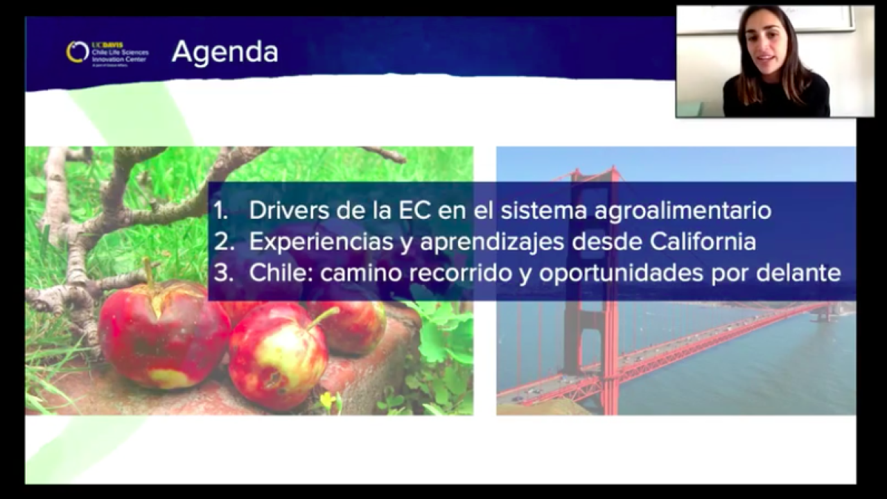 expo chile agricola