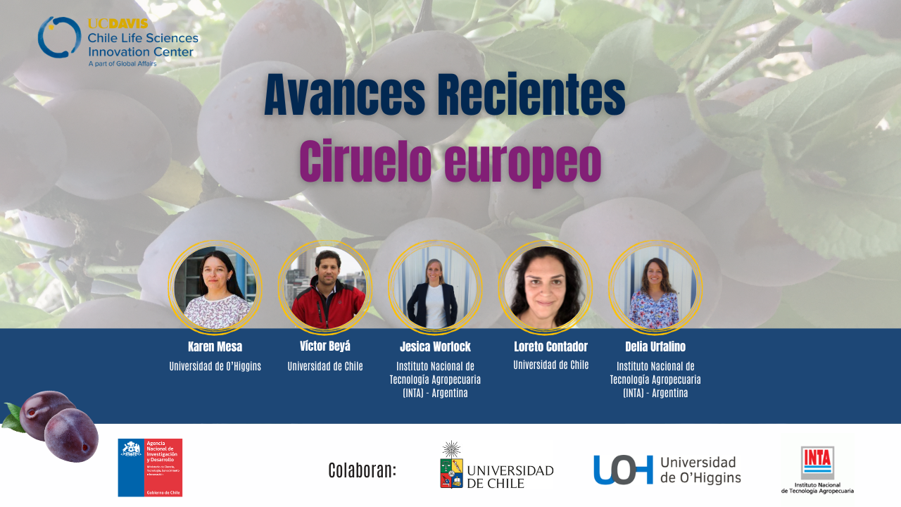 Banner AR Ciruelo Europeo