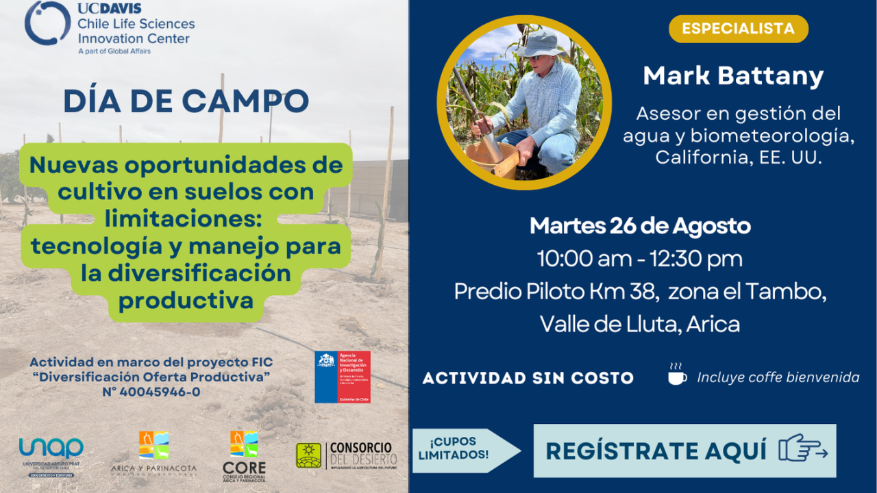 bannerdiadecampo