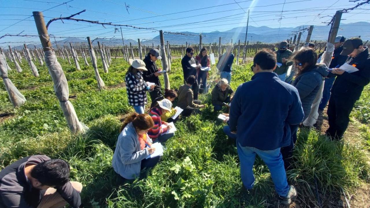 Día de Campo 