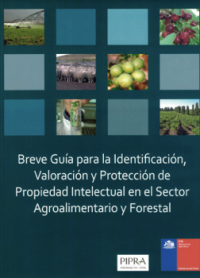 guía buenas prácticas 3