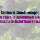 Banner LP Ciruelo